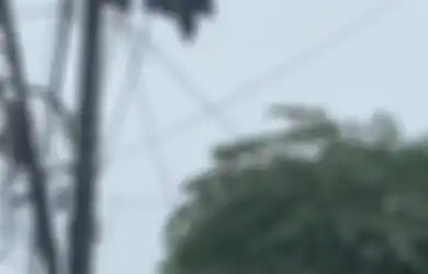 Viral Video Jemuran Pakaian Dalam Nyangkut di Tiang Listrik, Warganet: Auto Jadi Antena Sekomplek