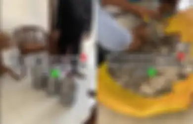 Viral di TikTok Momen Penjual Martabak Beli Rumah Pakai Uang Receh 4 Galon, Terungkap Berapa Lama Nabung Demi Hunian Impian