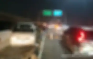 VIRAL Belasan Kambing Mendadak Berlarian di Tol Layang MBZ, Ternyata Ini yang Terjadi