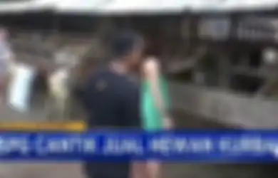 Sewa Jasa SPG Cantik, Pedagang Hewan Kurban di Bantul Ini Langsung Viral