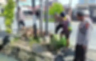 Geger Potongan Tubuh Manusia Tanpa Kepala Ditemukan di Parit Pontianak, Awalnya Dikira Sampah, Polisi Lakukan Tes DNA