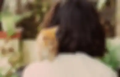 5 Tanggal Lahir yang Cocok Merawat Kucing, Sifatnya Sabar dan Perhatian