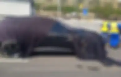 Polisi Beberkan Kronologi Ferrari Purosangue Bisa Terbalik Dari Towing