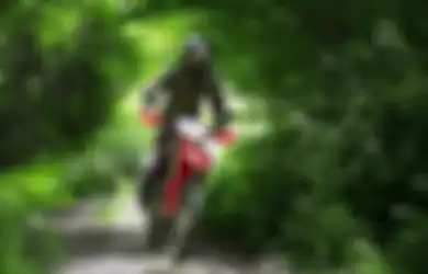 Lebih Murah dari Versi Rally, Inilah Honda New CRF250L yang Tampil Baru di Juni 2025