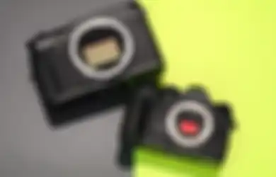 Sensor vs Megapiksel: Mana yang Lebih Penting untuk Fotografi?