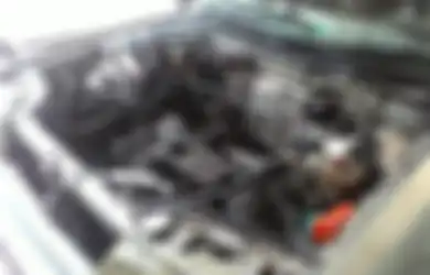 Cegah Tikus Masuk ke Ruang Mesin Mobil, Ini Langkah dan Tips nya!