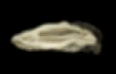 Berapa Ukuran Normal Labia Vagina? Berikut Jawaban Lengkapnya