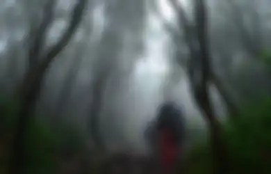 6  Hutan Angker di Indonesia yang Penuh Dengan Cerita Misterius 