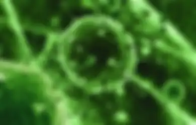Waspada 9 Virus Paling Mematikan di Bumi!