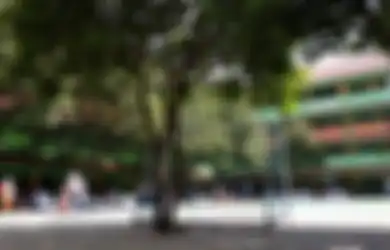 Suasana Di Sekolah Saat Gempa Terjadi: Ada Yang Tetap Lanjut Belajar di Bawah Pohon! 