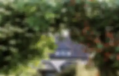 5 Tanaman Berbunga Cantik yang Cocok untuk Atap Carport