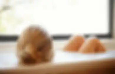 Buat yang Suka Mandi Air Hangat, Jangan Salah Pilih Pipa!