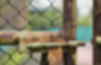 Jadi Jelek dan Berbahaya, Ini Cara Memperbaiki Pagar Berkarat
