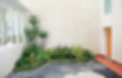 Mau Menghijaukan Rumah Tapi Lahan Minim? Ini Dia Caranya!