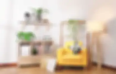 Warna Sofa Ini Dijamin Membuat Ruang Tampil Beda!
