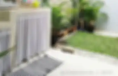 Hiasi Dapur Rumah Anda Dengan Tanaman, Yuk!