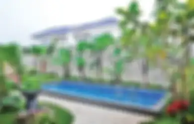 Mau Tau Banyak Mengenai Taman Tropis Modern? Di Sini!