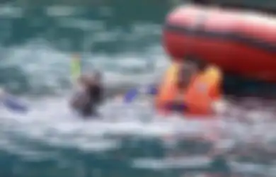 Ketika Menteri Susi Berenang Bersama Hiu Paus di Gorontalo