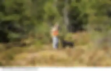 Mengapa Anjing Berteman dengan Manusia?