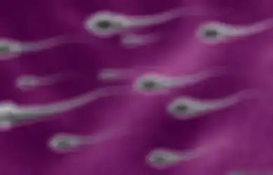 7 Cara Mencegah Sperma Tumpah saat Berhubungan Seksual