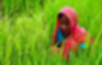 Obat Ajaib untuk Merasa Hidup Kembali dan Sehat