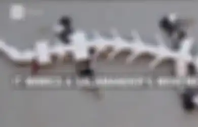 Robot Salamander Ini Digunakan untuk Memelajari Pergerakan Syaraf Tulang Belakang