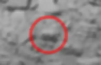 Pemburu UFO Klaim Temukan 'Bayi Beruang' di Mars
