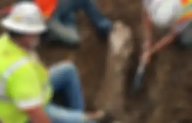 Fosil Makhluk Zaman Es Ditemukan di Lahan Konstruksi di Selatan California