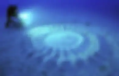 Kisah Pembuat Crop Circle Bawah Laut yang Tertangkap Basah