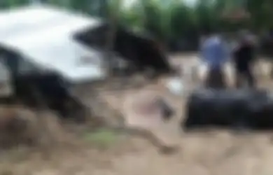 Benda Misterius yang Jatuh Menimpa Kandang Kosong di Sumenep Diduga Sampah Roket Falcon 9