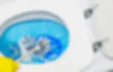Dua Telur Untuk Mengatasi Toilet Mampet