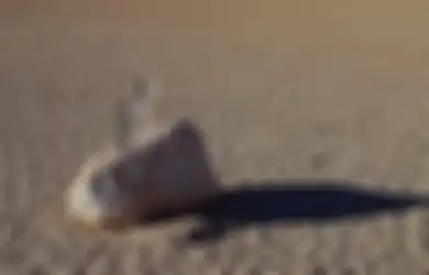 Misteri Batu yang Bergerak Sendiri