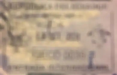 Kata Ditjen Imigrasi, Tidak Ada Yang Namanya Visa 