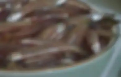 Wow, Ikan Teri Masuk Dalam Daftar 5 Makanan Pendongkrak Kecerdasan Otak