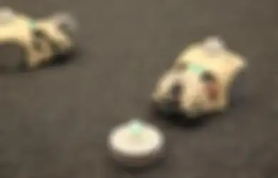 Robot Sex Bantu Pecahkan Teori Evolusi