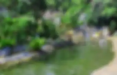 Berendam Air Panas di Kaki Tangkubanparahu
