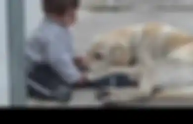 [Video] Saat Seekor Anjing Berteman dengan Anak Down Syndrome