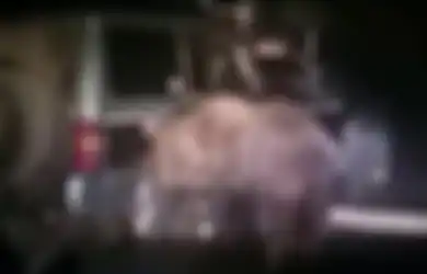 [Video] Beruang Rusia Ini Membalas Dendam kepada Mobil yang Menjebaknya