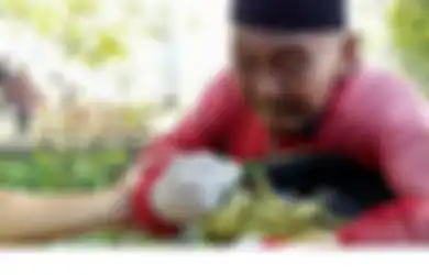 Kakek Suwandi, Pengemis Berkostum Winnie The Pooh Mengaku Punya Tujuh Istri