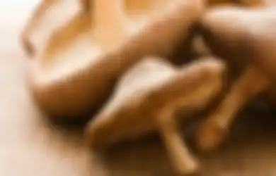 Jupe Meninggal Dunia: Benarkah Jamur Shiitake dapat Membunuh Penyebab Kanker Serviks?