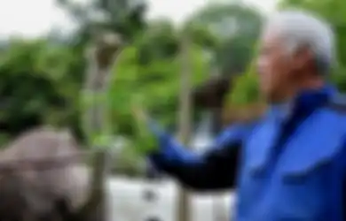 Naoto Matsumura, Orang Terakhir di Fukushima yang Memberi Makan Semua Binatang yang Tertinggal Pascatsunami Jepang 2011