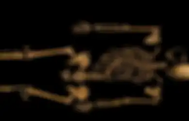 DNA Ungkap Misteri Kerangka Manusia Berusia 500 Tahun