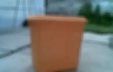 Ramah Lingkungan Dimulai dari Dapur (4): Lebih Perhatian terhadap Sampah