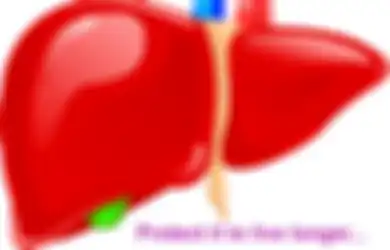 Mengenal Hepatitis B