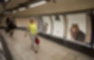 Seluruh Ruang Iklan di Stasiun Kereta London Ini Diganti dengan Foto Kucing!