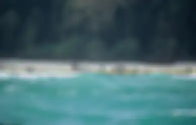 Nekat Masuk ke Pulau Terlarang untuk Sebarkan Agama, Pria Ini Dibunuh Penduduk Suku yang Terkenal 'Buas'