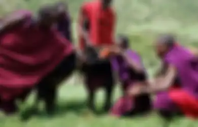 Suku Masaai, Suku Peminum Darah dari Afrika Timur