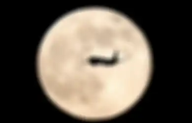 Misteri Supermoon 14 November 2016