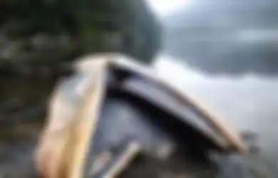 Terbanyak dalam Sejarah, Lebih dari 300 Paus Mati Terdampar di Cile