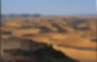 Ternyata, Puluhan Ribu Tahun Lalu Gurun Sahara Merupakan Daerah Subur dan Hijau